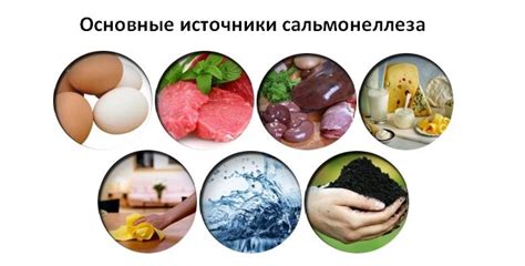 ПРОФИЛАКТИКА САЛЬМОНЕЛЛЕЗА