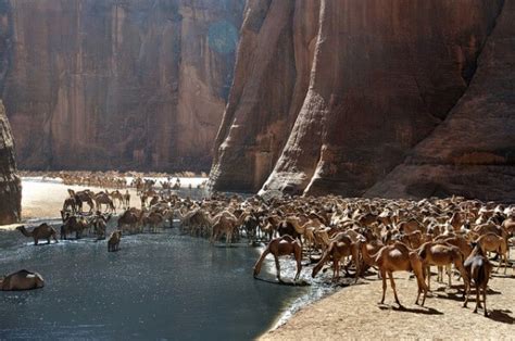 La Guelta d'Archei, une oasis surprenante au Tchad