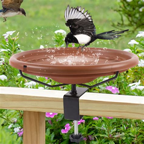 10 Best Oriole Bird Baths For Your Garden Top Picks Hummingbirds Plus