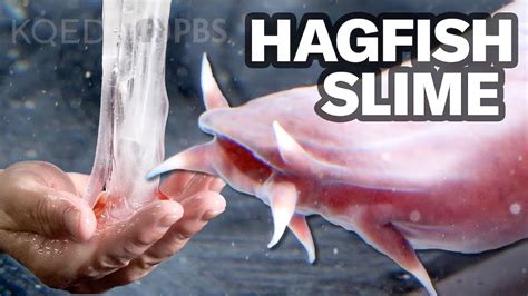 Hagfish Slime Uses