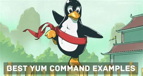 The 50 Best YUM Command Examples For RHEL Or CentOS Users Tech