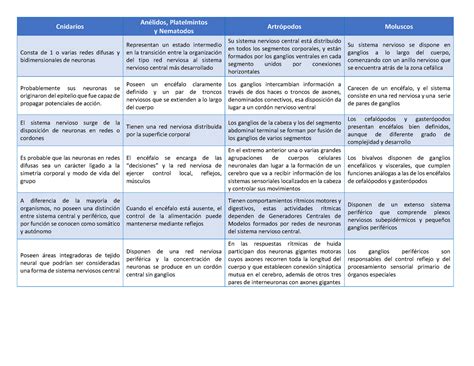 Cuadro Comparativo Sistema Nervioso De Los Invertebrados Sistema Porn