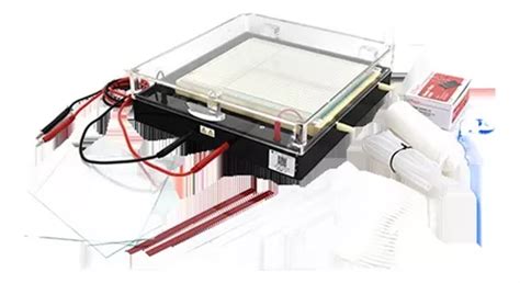 Dycp B Instrumento De Electroforesis De Enfoque Meses Sin Intereses