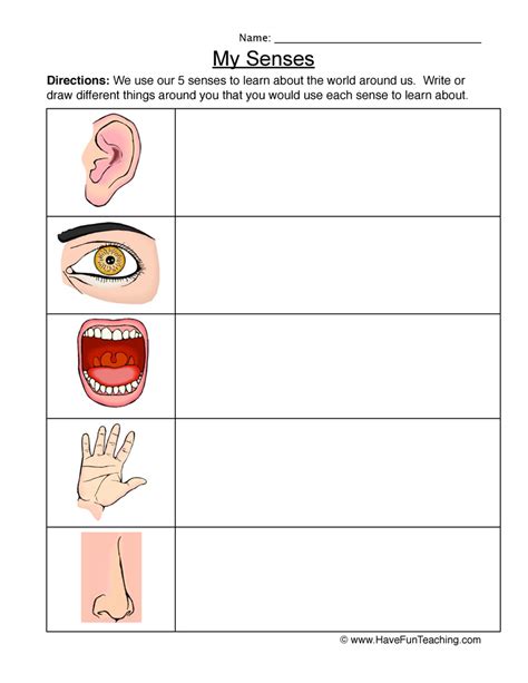 5 Senses Worksheet