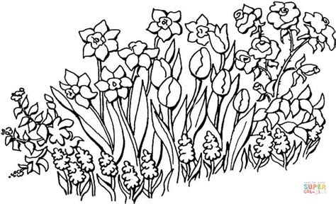 Flowers In The Garden coloring page | Free Printable Coloring Pages