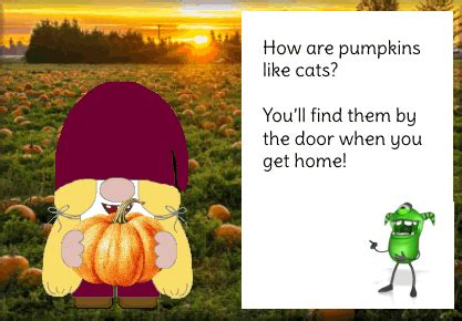 Gnome Pumpkin Patch GIF - Gnome Pumpkin patch Halloween - Discover ...