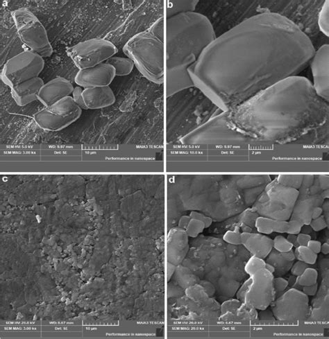 Scanning electron microscope (SEM) micrograph of NaCl salt grains using ...