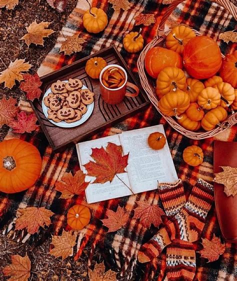 Prepare To Fall In Love With These Awesome Autumn Date Ideas Fall