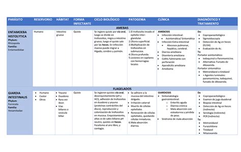 Par Sitos Parcial Presentacion Parsito Reservorio Hbitat Forma