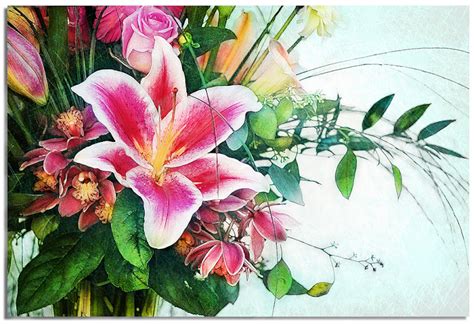 janicedarby: watercolor stargazer lily