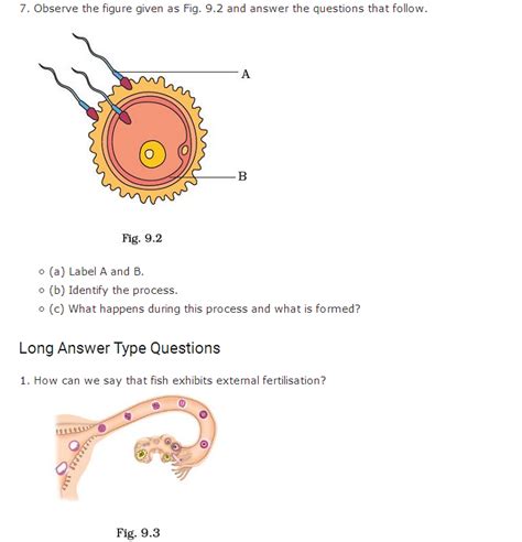 Important questions for class 8 Science Chapter 9 Reproduction in Animals