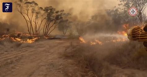 Zwei Tote In Australien Buschfeuer W Ten Weiter