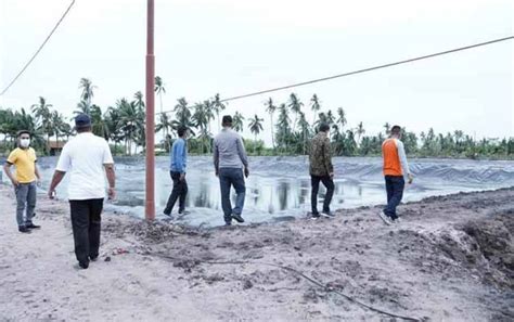 Program Provinsi Kalteng Shrimp Estate Di Sukamara Selesai Tahun Ini