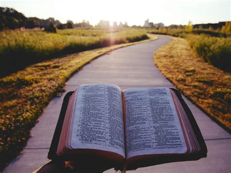 Quantos Livros A Bíblia Tem 4