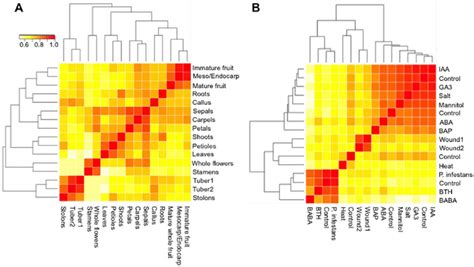 Cluster Heat Map Of Gene Expression Data The Hierarchical Clustering Download Scientific