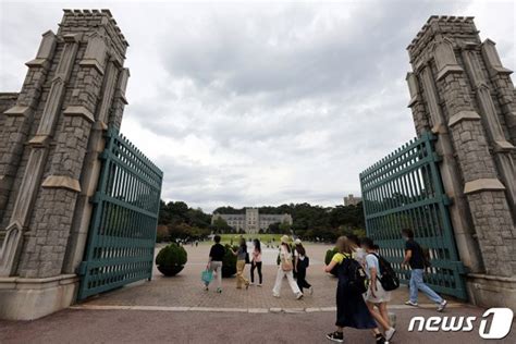 대학 입학정원 1만6197명 줄인다감축 대학에 1400억 지원 네이트 뉴스