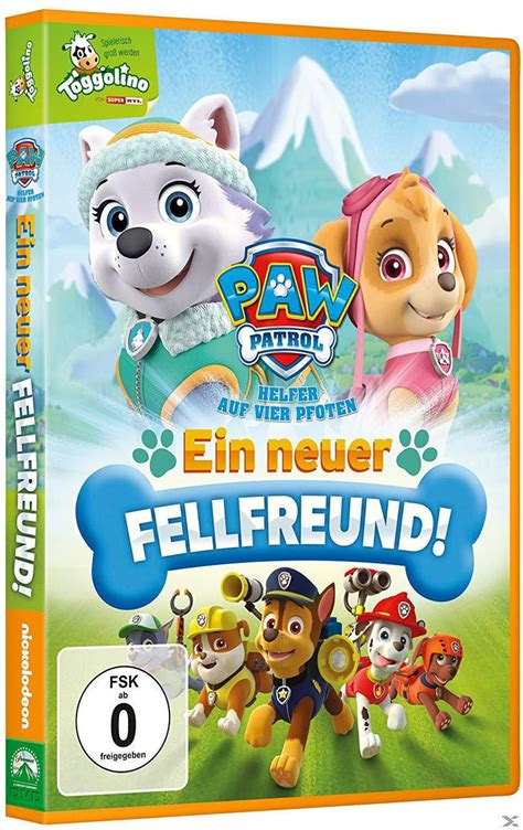 Paramount Home Entertainment Paw Patrol Ein Neuer Fellfreund Dvd Von Expert Technomarkt