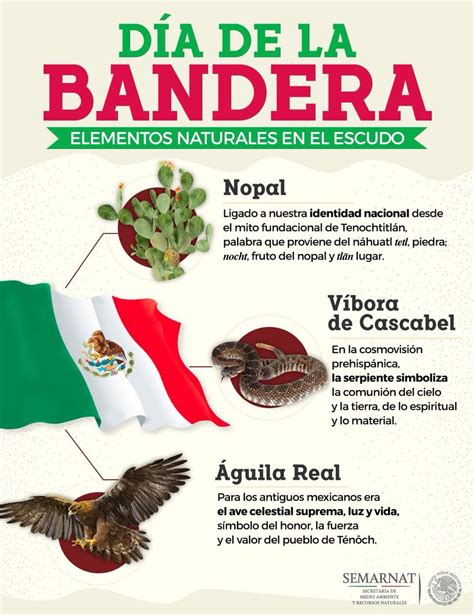 Result Images Of Que Significa El Aguila Bandera De Mexico Png Hot