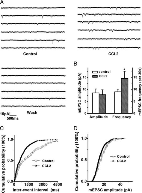 Ccl Enhancement Of Epscs Via A Presynaptic Mechanism Panel A Shows