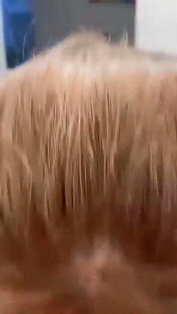 Watch คาชดนกศกษา ไทย ไทย นกศกษา นกศกษา Porn SpankBang