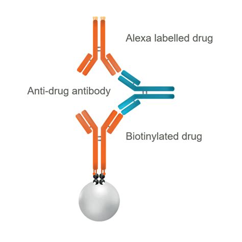 Immunogenicity Automated Immunoassays