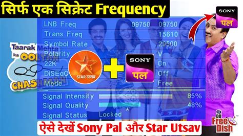 Sony Pal Star Utsav DD Free Dish Par Kaise Laye 2024 DD Free Dish New