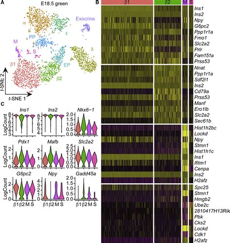 Single Cell Transcriptome Profiling Of Mouse And Hesc Derived