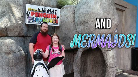 Penguin Parade And Mermaids L Ripleys Aquarium Of The Smokies 2022