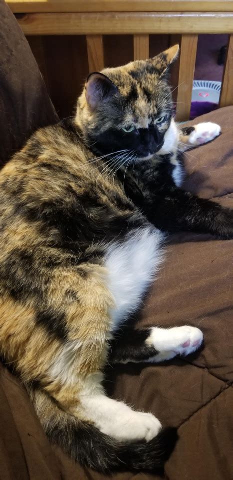 About That Girl Setting Up Her Straight Friend But A Lesbian Friend On Tumblr