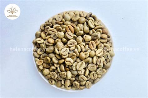 The Best Coffee Bean Supplier In Vietnam Helena Coffee Processing