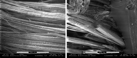 Sem Images Of Jute Fibers A And Fracture Surface Of Jute Fiber Pp