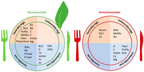 Vegetarian Diets and Chronic Kidney Disease Complications