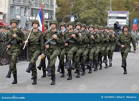 Serbian National Flag Unit In March Editorial Stock Photo Image