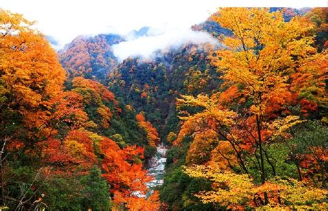 Lesser Known Places To See Fall Foliage In China II EYESHENZHEN