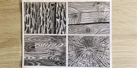 Tree Texture Drawing