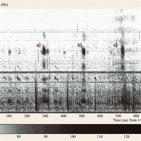 Passive And Active Sonar For Submarine Detection Passive The