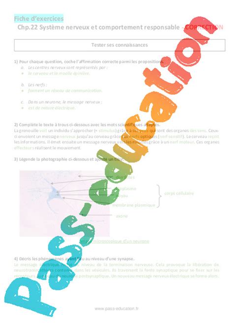 Système nerveux et comportement responsable 3ème Exercices corrigés