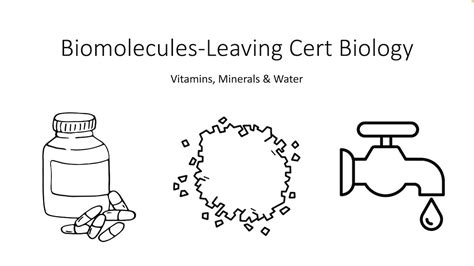 Biology Bugbears Biomolecules Part 4 Minerals Vitamins And Water