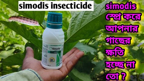 Syngenta Simodis Insecticide Simodis Insecticide Simodis