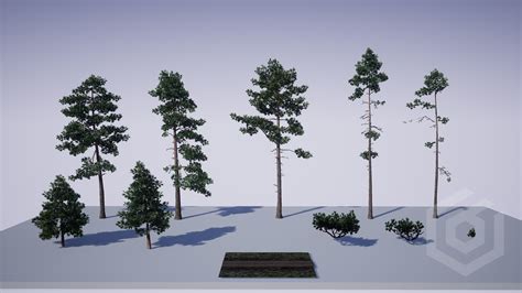 Trees Pine Tree In Props Ue Marketplace