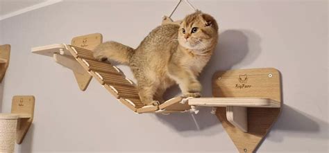 3 Piece Wall Cat Playground Cat Stairs Cat Bridge Shelf Etsy