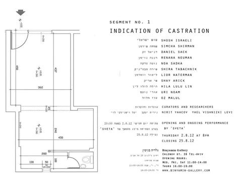 Binyamin Gallery 02 08 2012 Castration Curating Nirit Yaacov