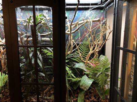 Lets See Those Bioactive Enclosures Chameleon Forums