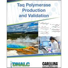 Taq Polymerase Production and Validation Amplification Kit (with ...