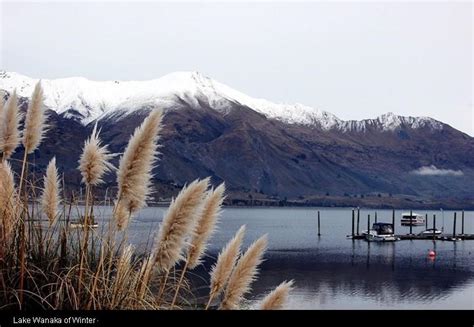 Nature of New Zealand | Funnilogy