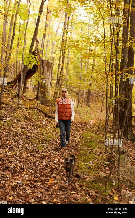 Exploración de la naturaleza del perro fotografías e imágenes de alta