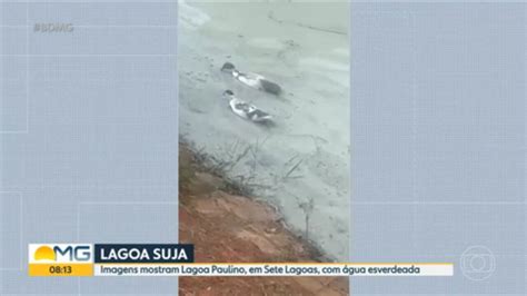 Vídeo Moradores de Sete Lagoas denunciam sujeira em lagoa da cidade