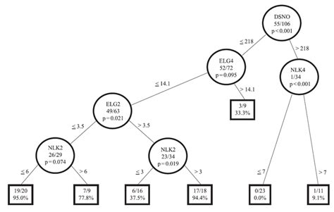 Classification And Regression Tree Cart For Pacific Coast Surf