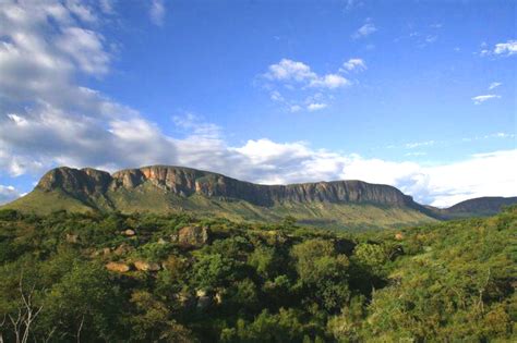 ‘n Dorp Wat Draai Of ‘n Dorp In Sy Maai Die Kwêvoël