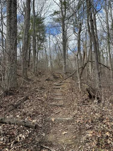 Best Hikes And Trails In Bottom Creek Gorge Preserve Alltrails